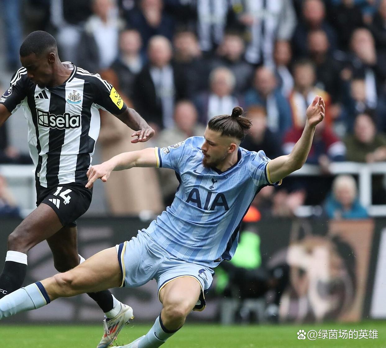 纽卡斯尔转会期调整名单，志在NBA常规赛名次提升，目标明确，高层口径保持一致的简单介绍-金年会娱乐网站